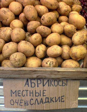 В Москве картошка по 5 руб./кг.