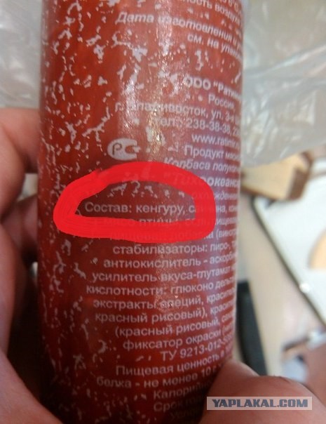 Веселые картинки