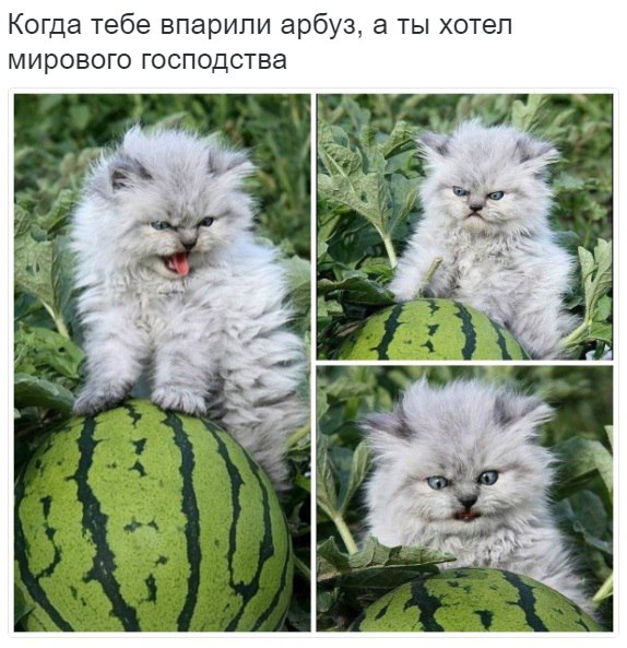 Юмор не для всех