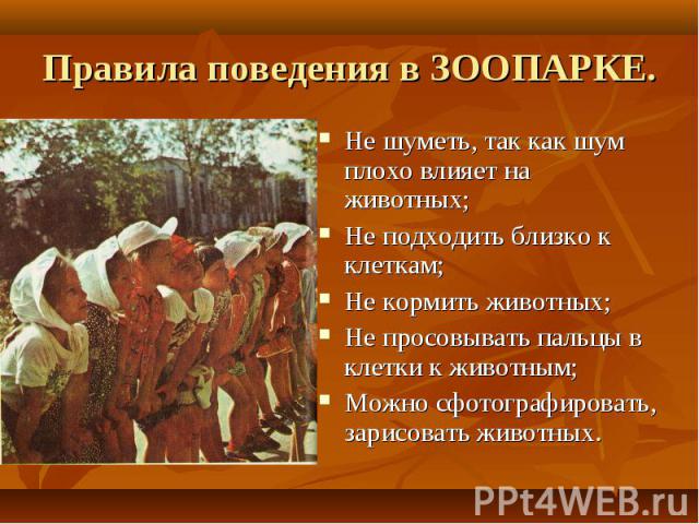 Животных не кормить!