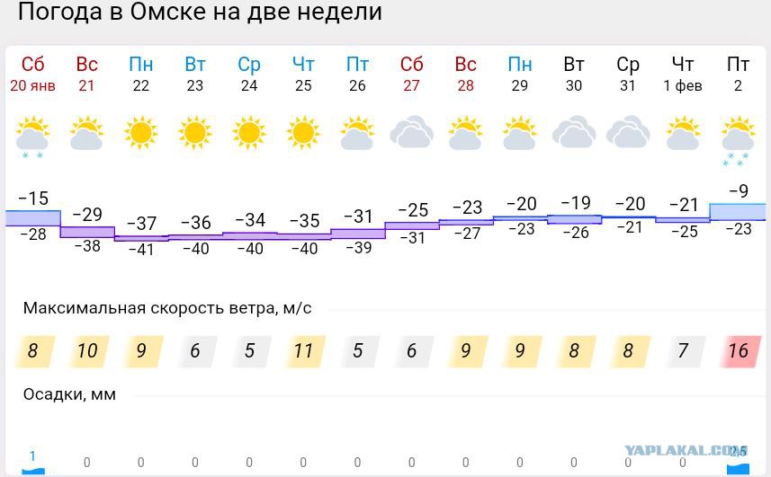 Погода кемерово на неделю 2024. Погода в Кемерово. Новосибирск на 2 недели. Погода в Кемерово на 3 дня. Погода в Омске на 2-3 недели.