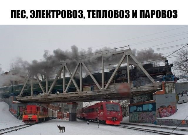 Прикольные картинки обо всём