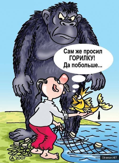 Итоги проверки пользователей