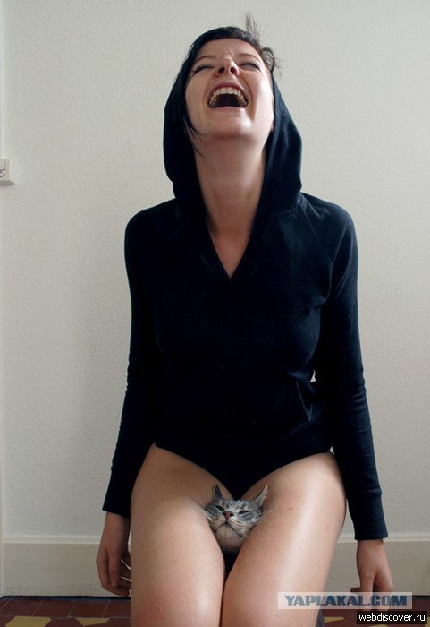 Котовторник