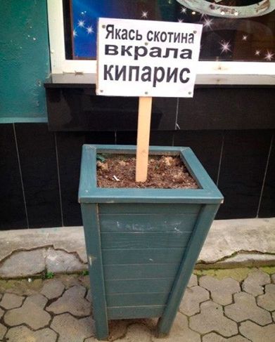 Картинок слегка)