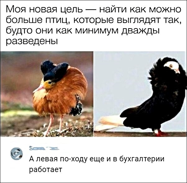 Картинок псто