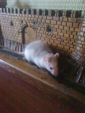 Поделки из тюрьмы