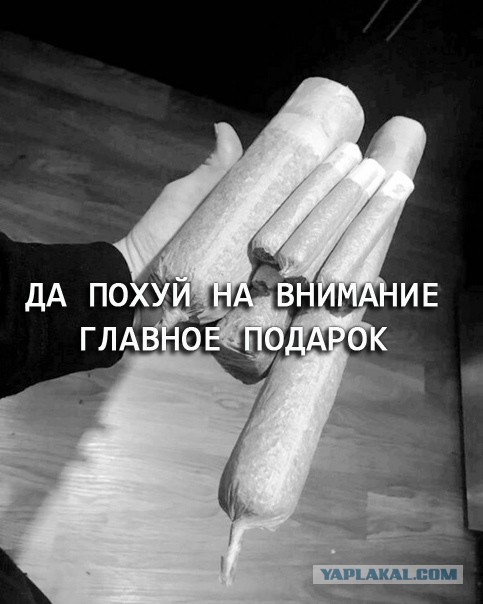 Немного картинок для настроения 09.12.19