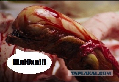 Стану вашим парнем