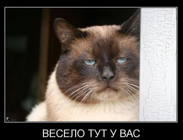 Бредзона 17.07.2020