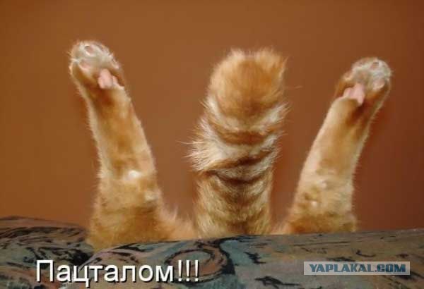 В Москве поймали еще одного извращенца