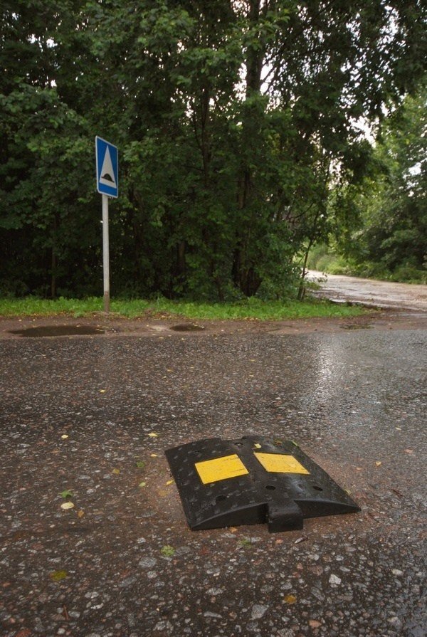 Неповторимое мастерство экспертов лиги лени