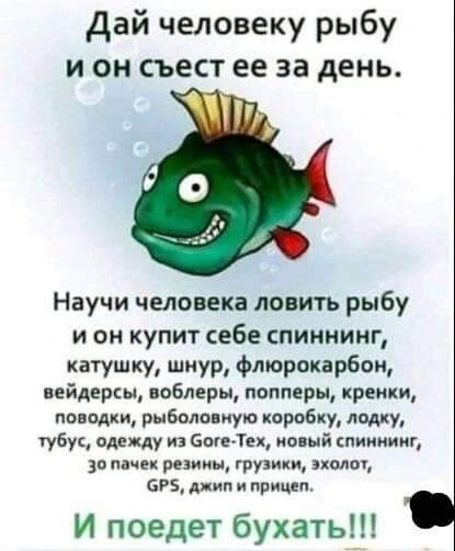15597001.png