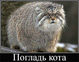 Новый Год