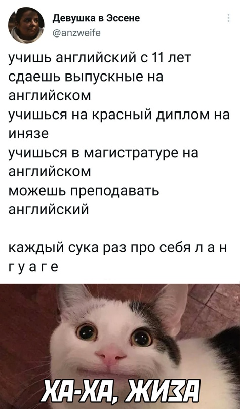 Весёлый полтишок 06.04.22