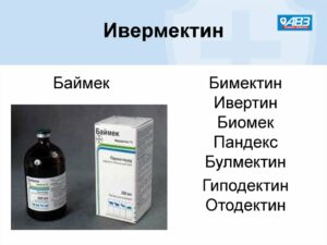 Пандемия съехавших крыш - разновидности болезни. Россия и мир. Часть 42.