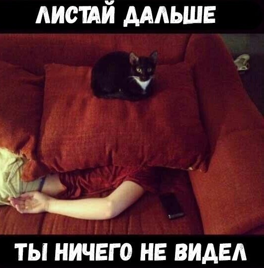 Юмор в картинках и без
