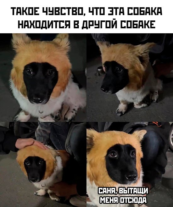 Картинки и мемы, всем хороших выходных