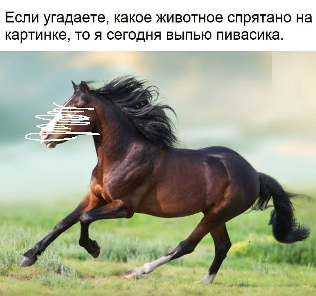 18257001.jpg