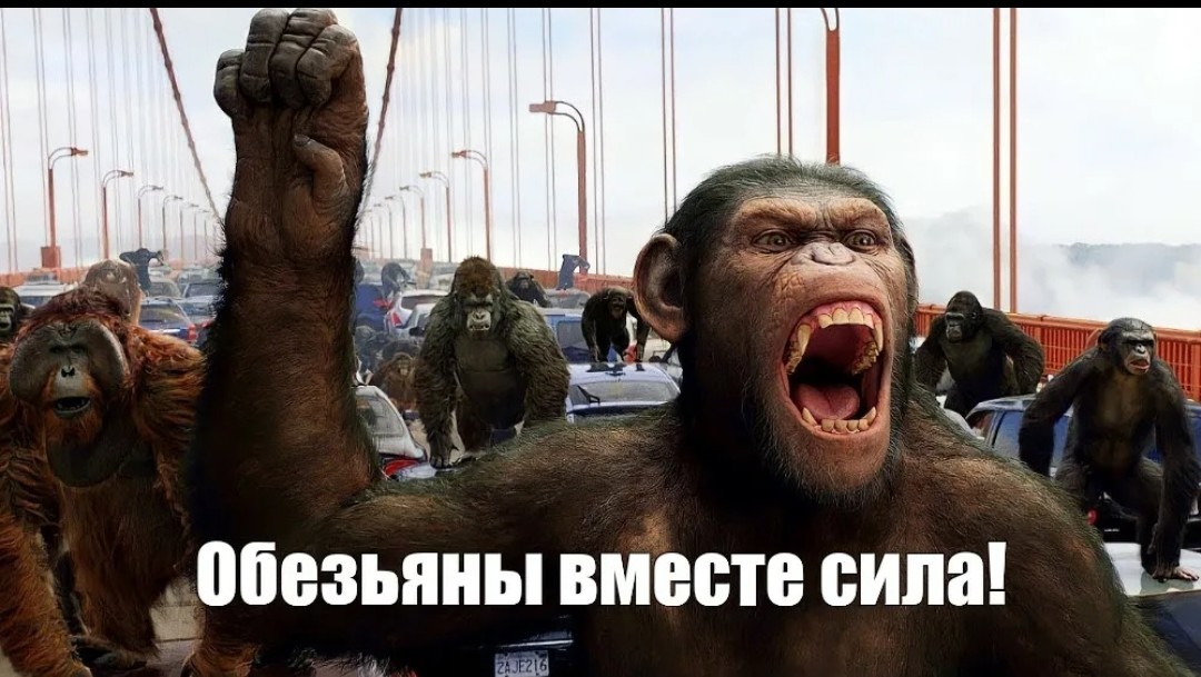 Сила Мем