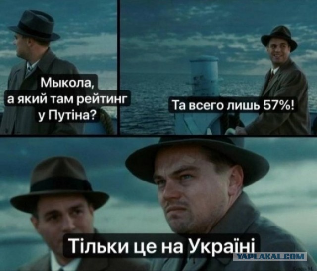 И юмор и зоозащита, и Украина! 3 in 1