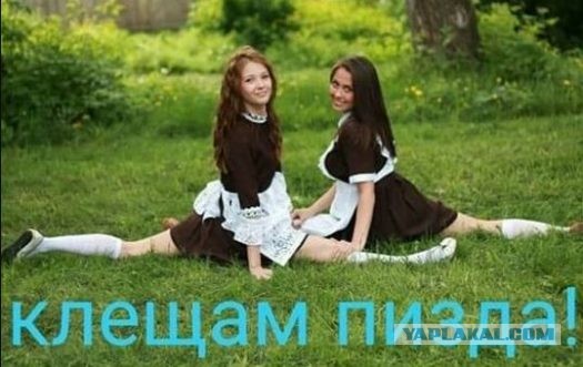 Девы на зелёных полях