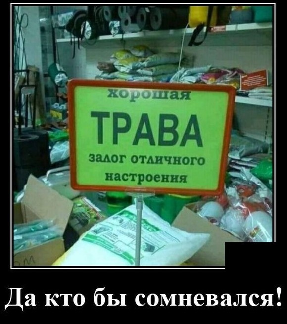 55 демотиваторов опять