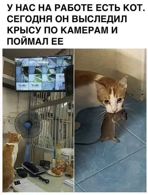 Картинки разные с надписями и без