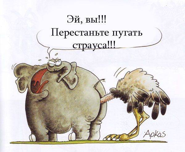 Это гинеколог или проктолог?