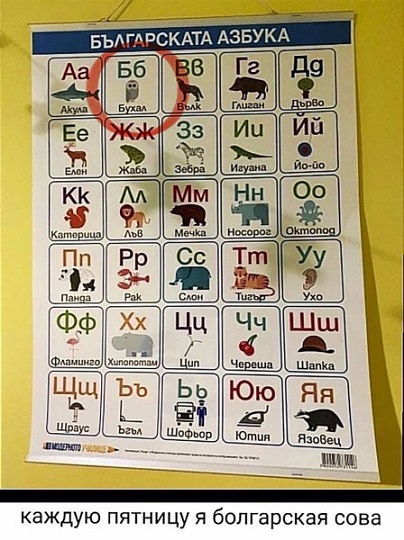 У меня муж дома