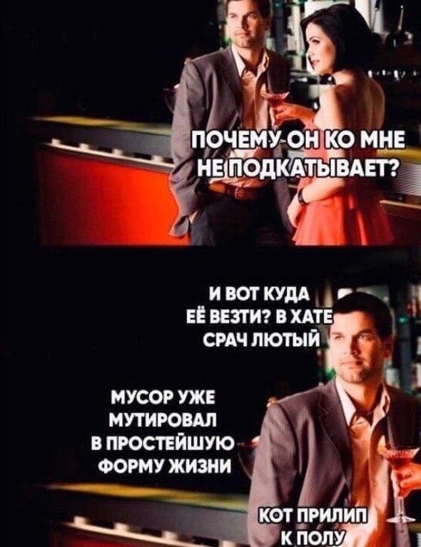 Картинки из ТГ чатов 2