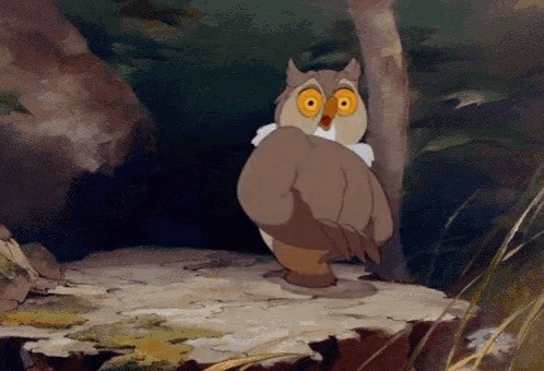 Почти кот, только не мяукает