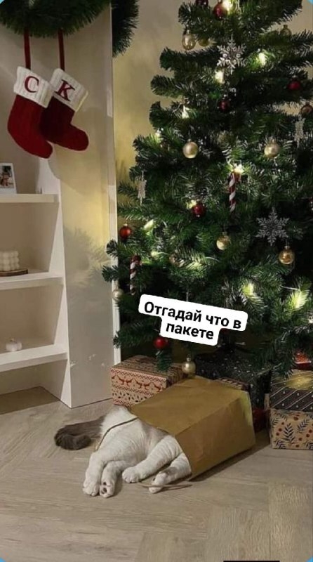 Немного картинок