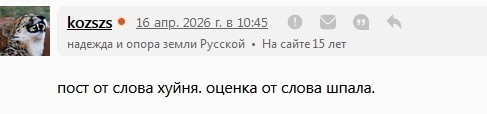 Прикольный клип на тему всеобщего помешательства