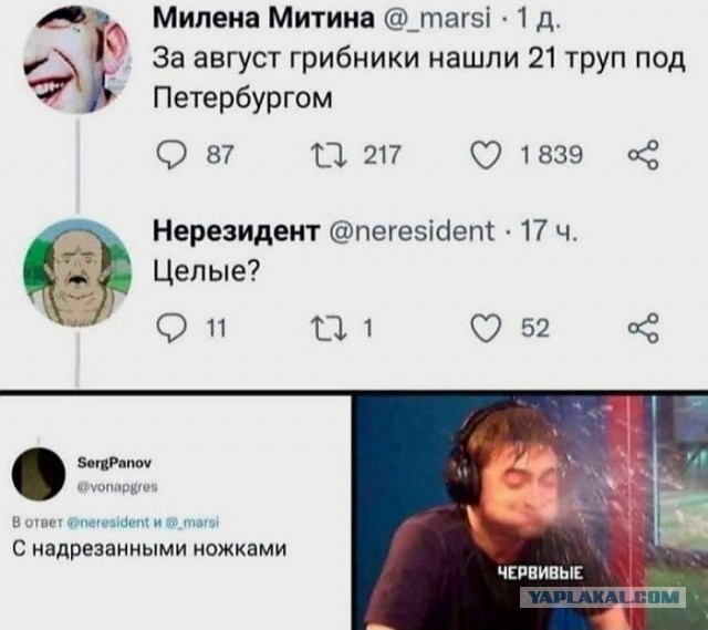 Картинки для деградации 269 (разной степени свежести)