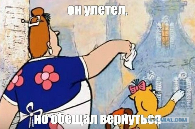 Холостякую и что заметил