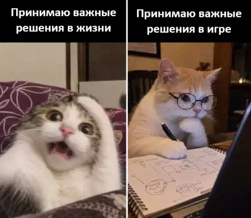 Картинки для деградации 300