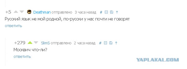 Смешные комментарии из социальных сетей #2