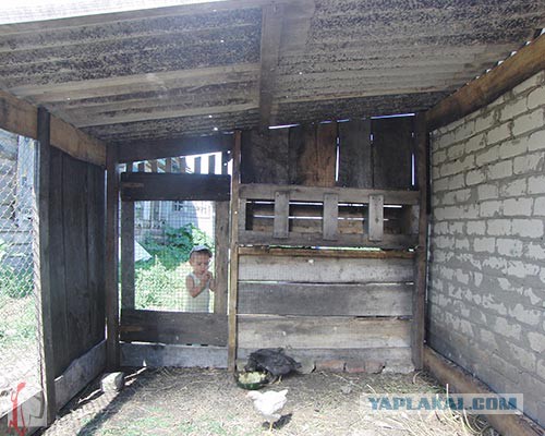 Большой скворечник
