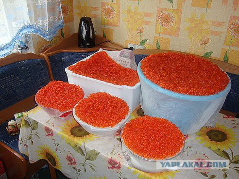 Нас душили санкциями больше двадцати лет