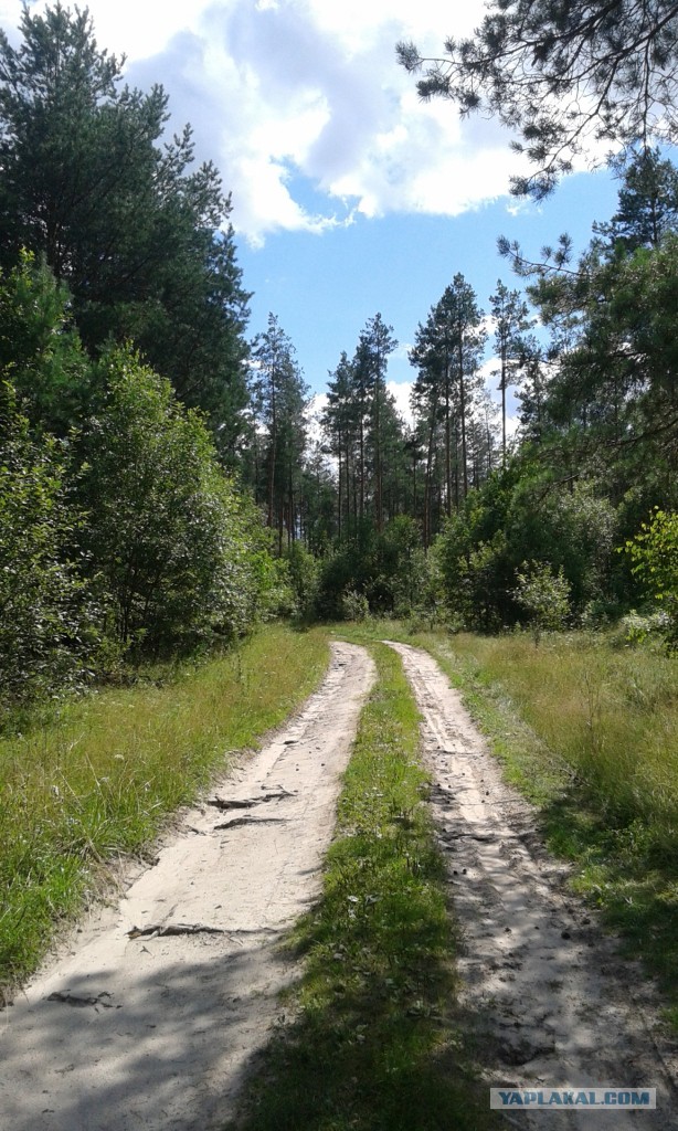 Дело не во мне, а в пескаре