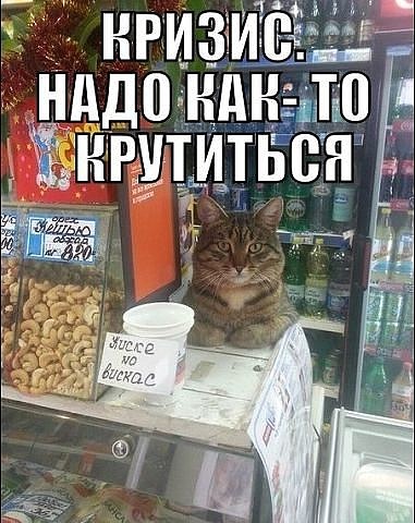 Картинки из инета
