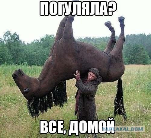 Картинки разные