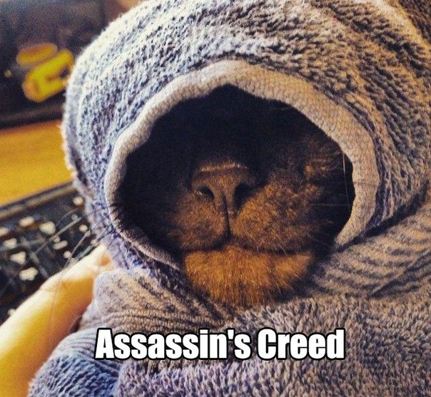 Разные картинки