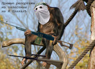 Грустный самец