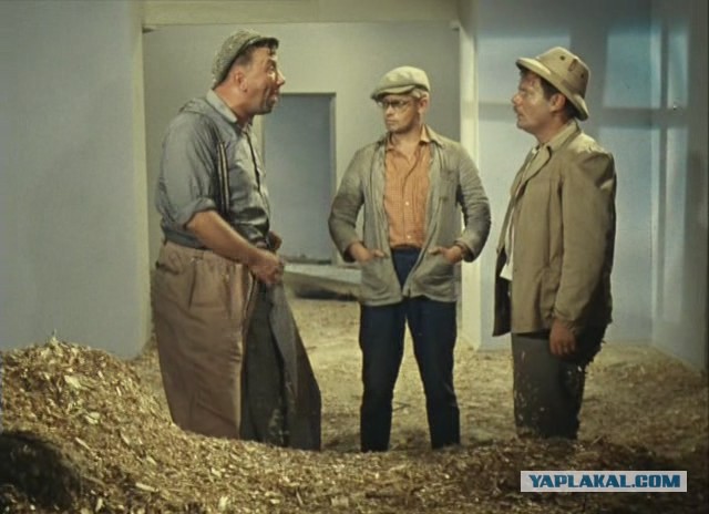 Рабочие будни моего начальника