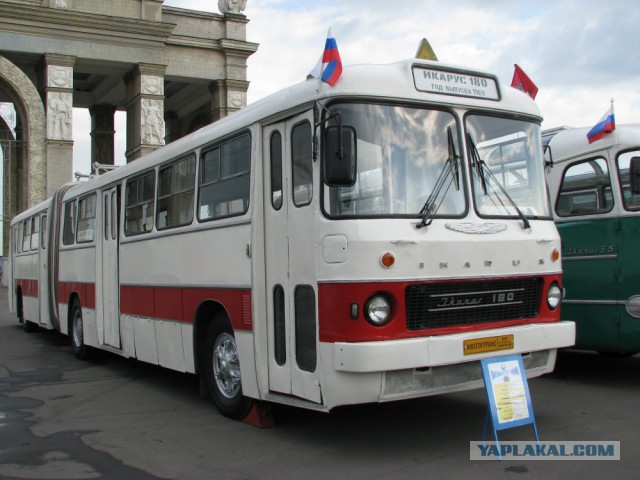 Икарус 260