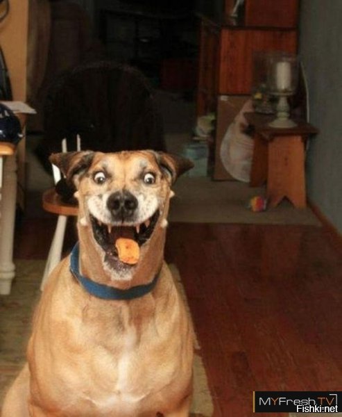 Масштабные учения в Латвии