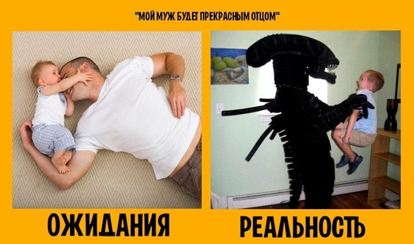Забавные картинки из сети