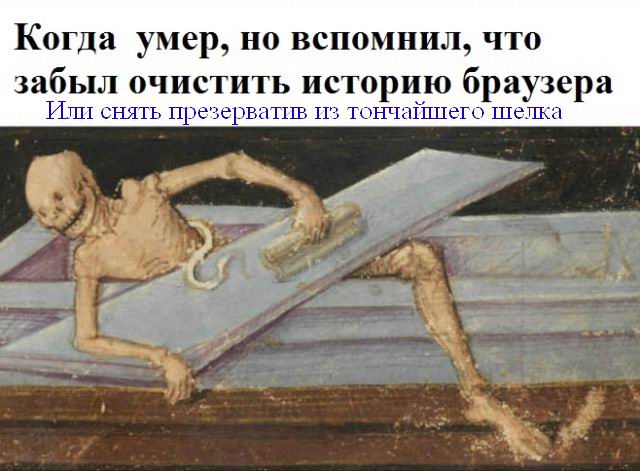 Как какают змеи? Выстрелит ли пистолет в космосе? Откуда грязь в пупке? Отвечаем на 20 жизненных вопросов